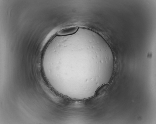 X0000112740056200909101525