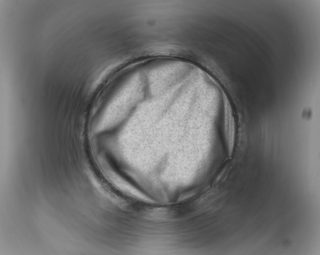 X0000112740058200909101526