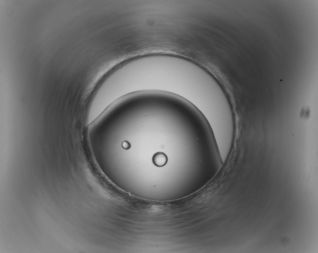 X0000112740060200909101526