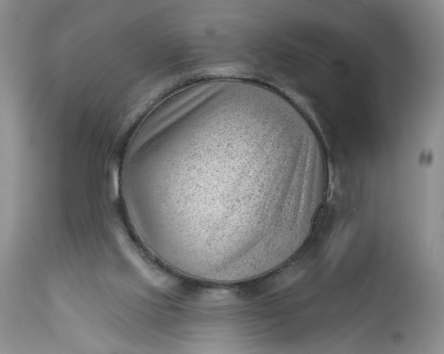 X0000112740061200909101526