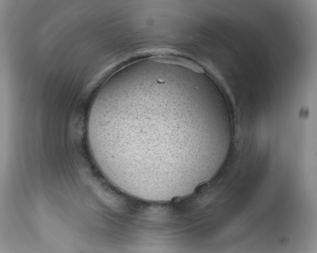 X0000112740063200909101526