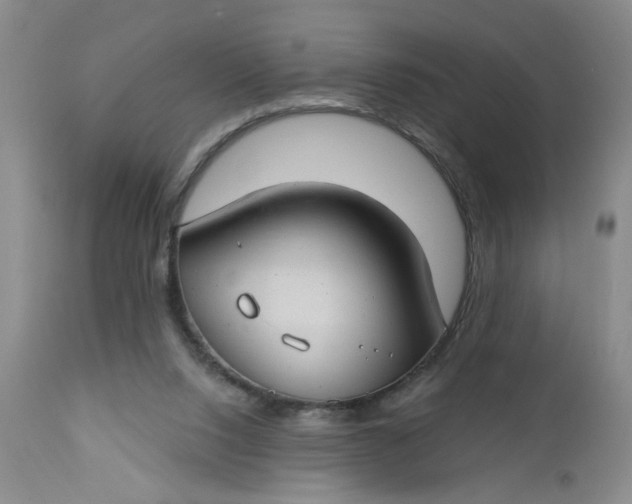 X0000112740064200909101526