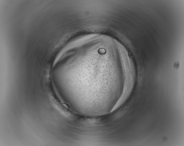 X0000112740065200909101526