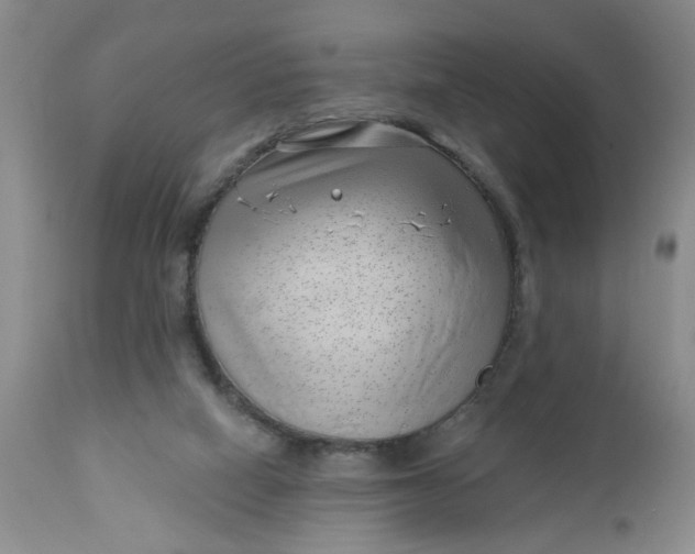 X0000112740066200909101526