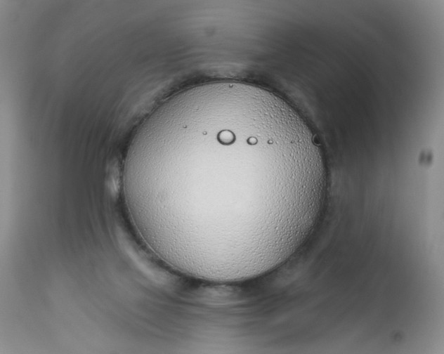 X0000112740069200909101526