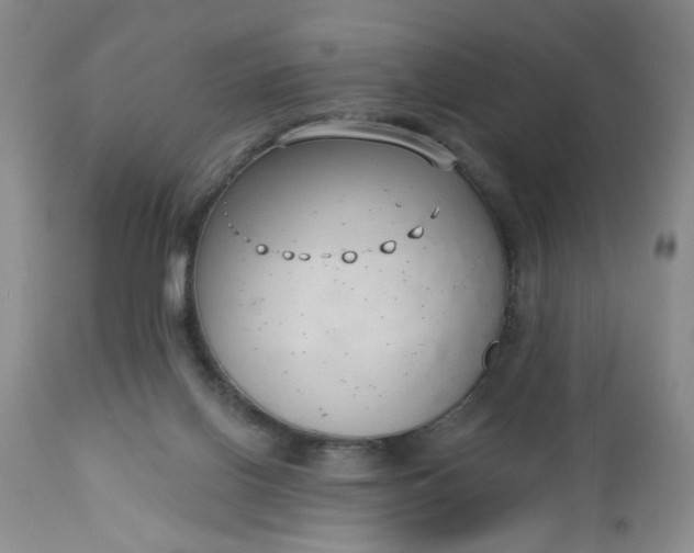 X0000112740070200909101526