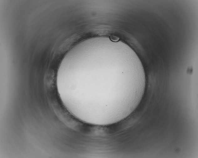 X0000112740073200909101526