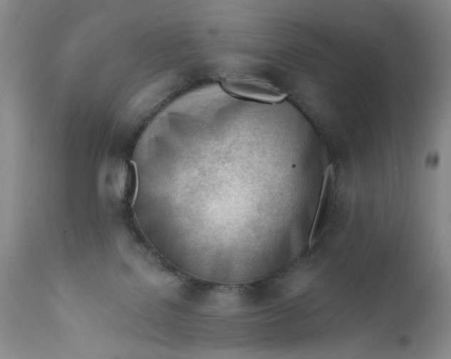 X0000112740076200909101526