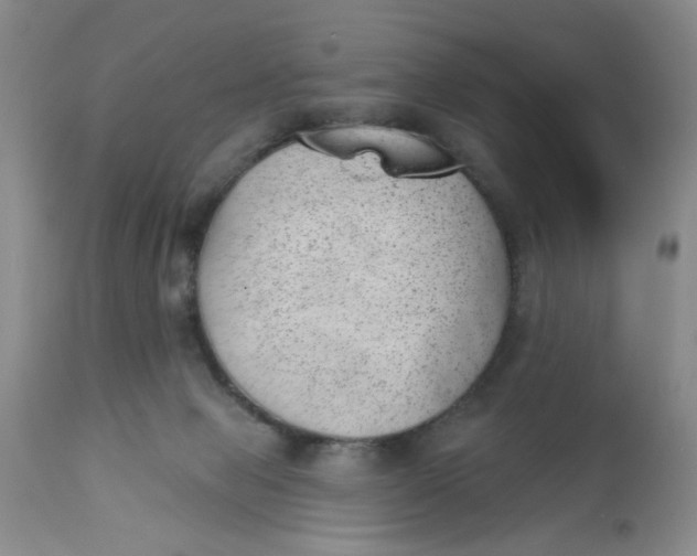 X0000112740077200909101526