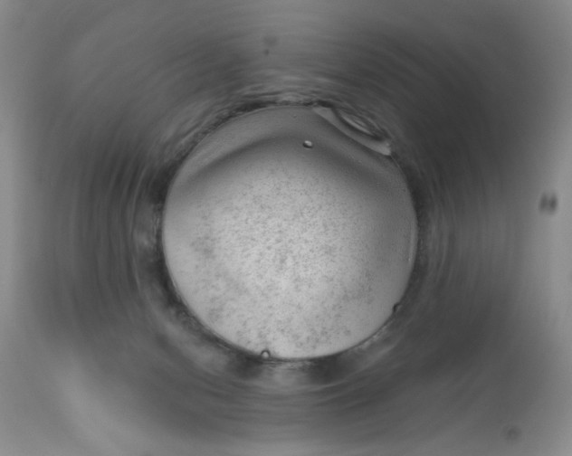 X0000112740078200909101526