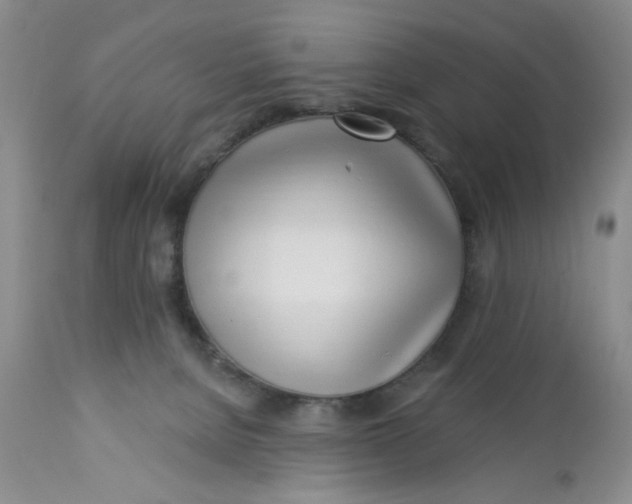 X0000112740080200909101526