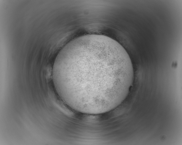 X0000112740081200909101526