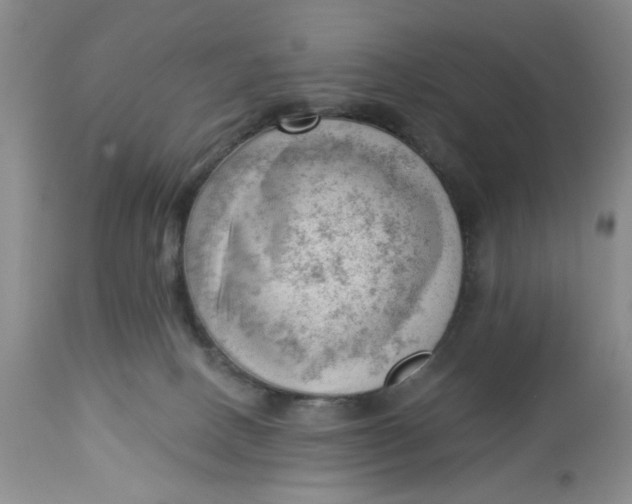 X0000112740082200909101526