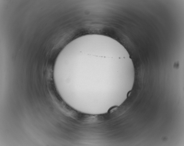 X0000112740083200909101526