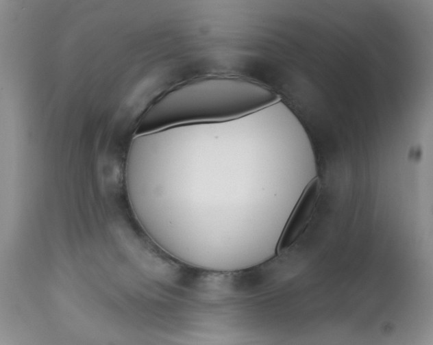 X0000112740084200909101526