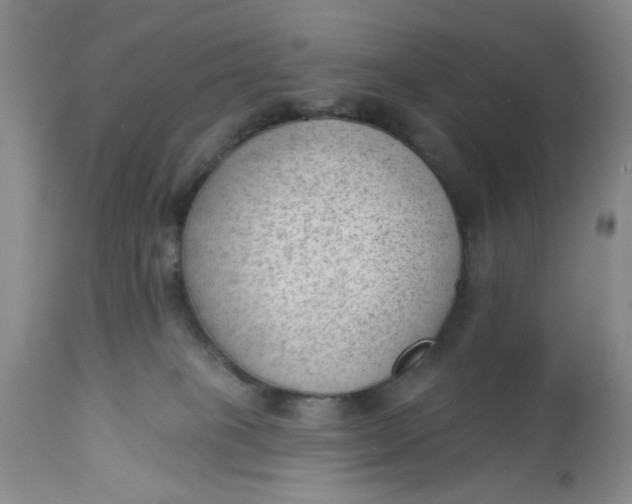 X0000112740085200909101526