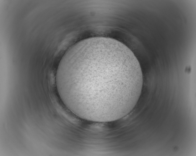 X0000112740086200909101526