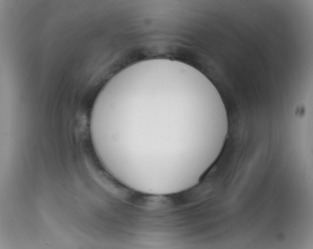 X0000112740087200909101526