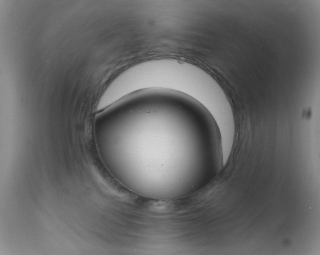 X0000112740088200909101526