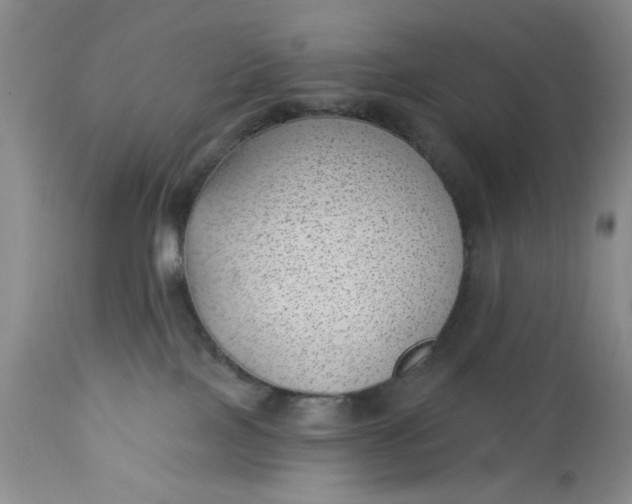 X0000112740089200909101526