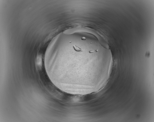 X0000112740094200909101526