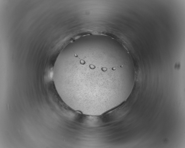 X0000112740095200909101526