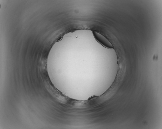 X0000112740096200909101526