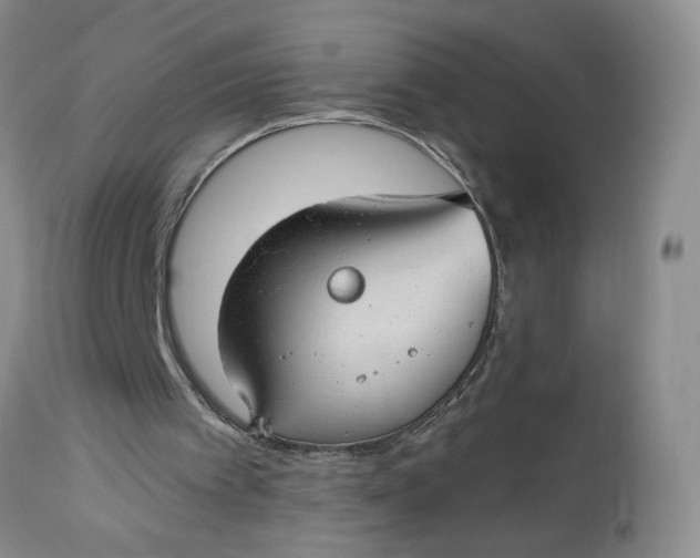 X0000112740097200909101525