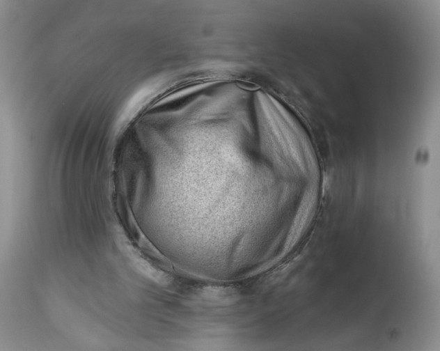 X0000112740101200909101525