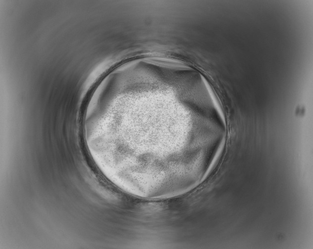 X0000112740102200909101525