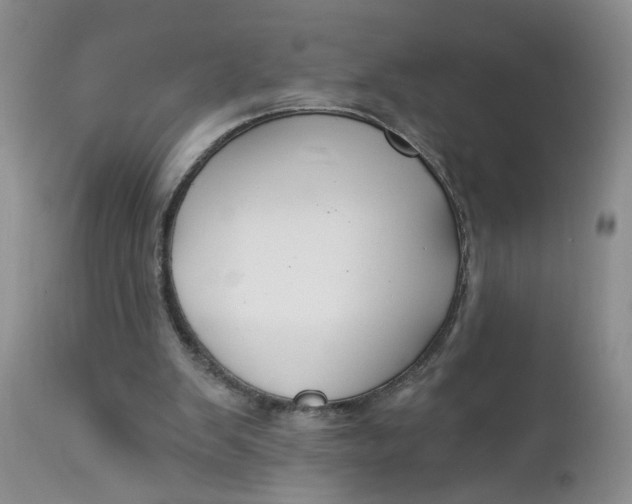 X0000112740103200909101525