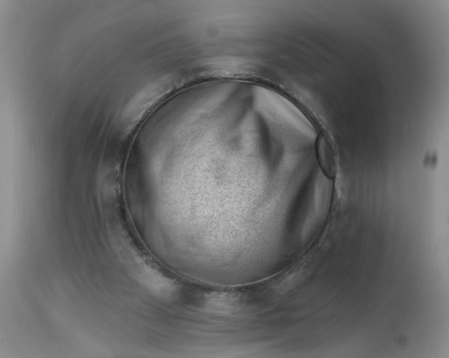 X0000112740105200909101525