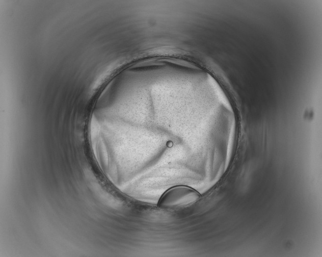 X0000112740106200909101525