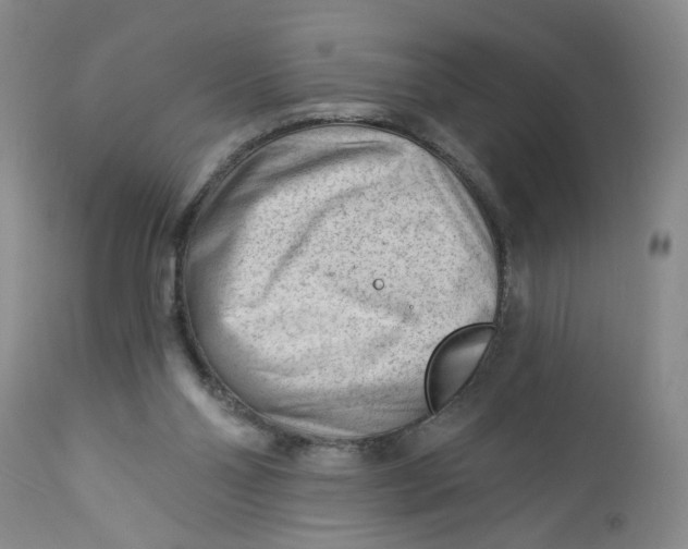 X0000112740110200909101525