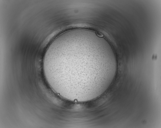 X0000112740111200909101525