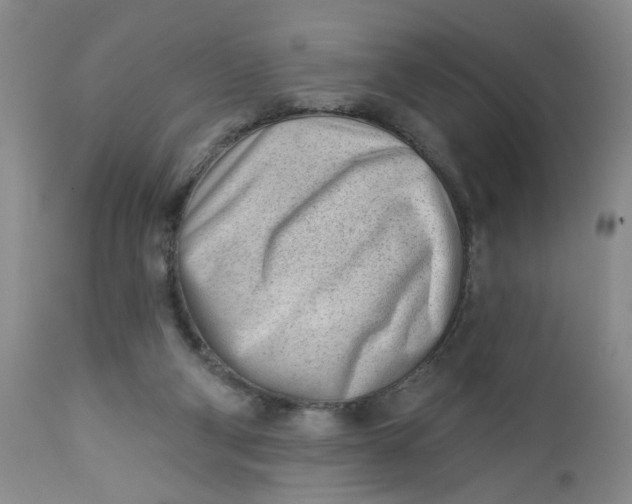 X0000112740114200909101525