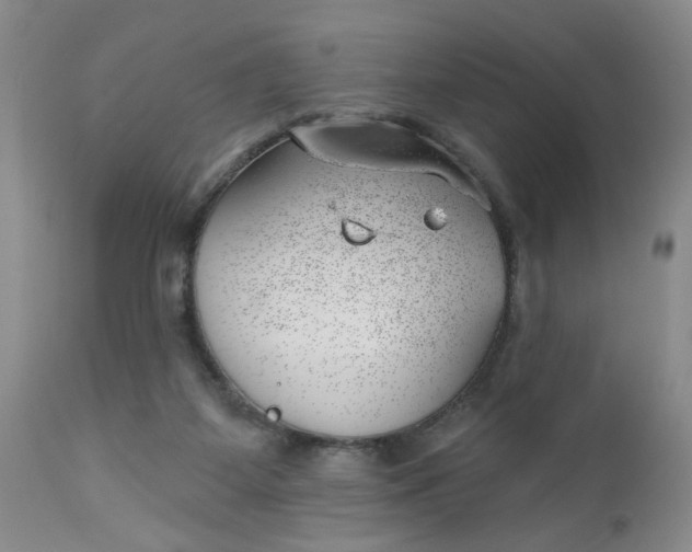 X0000112740115200909101525