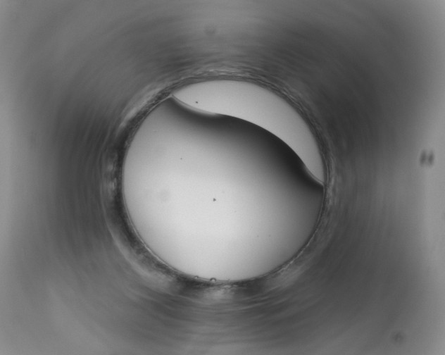 X0000112740116200909101525