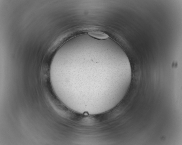 X0000112740119200909101525