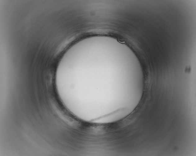 X0000112740120200909101525