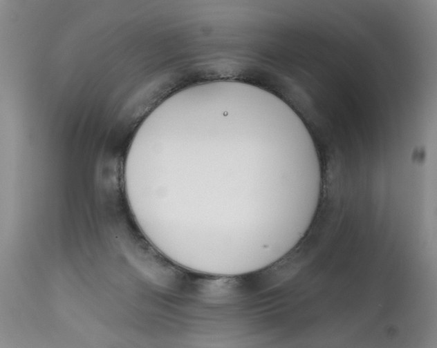 X0000112740122200909101525