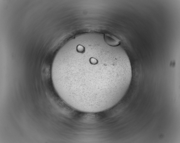 X0000112740123200909101525