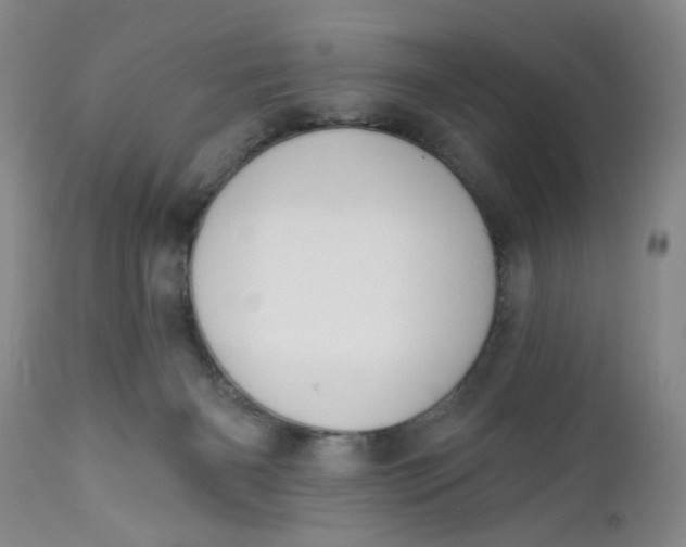 X0000112740126200909101525