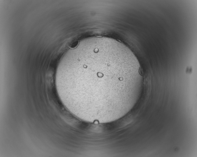 X0000112740127200909101525