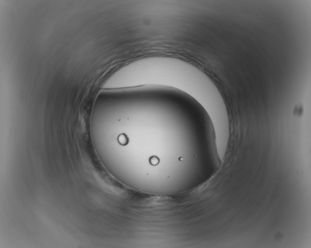 X0000112740128200909101525