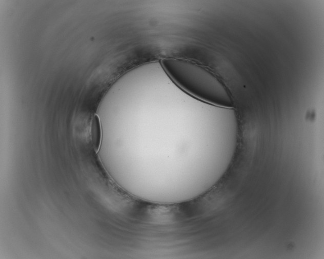 X0000112740129200909101525