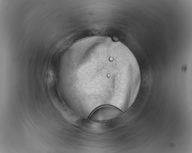 X0000112740130200909101525