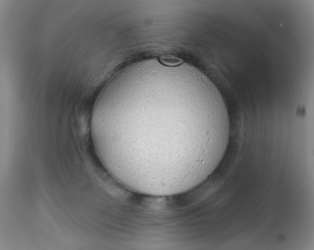 X0000112740131200909101525