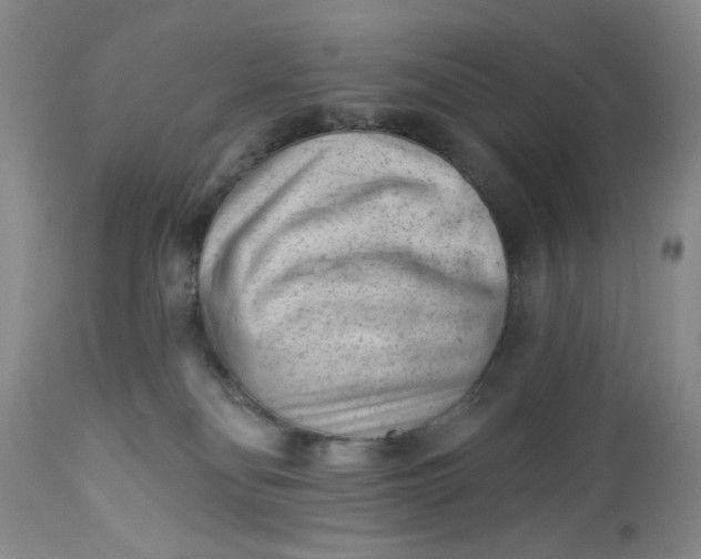 X0000112740134200909101525