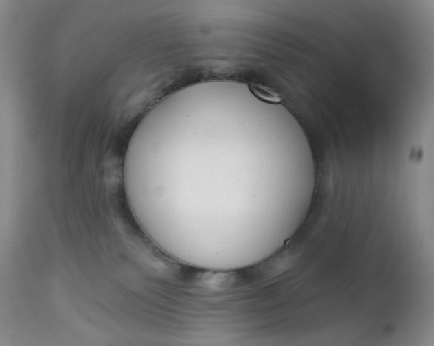 X0000112740135200909101525